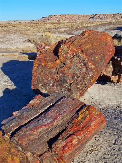 Day Hiking Trails: Best trails to see Petrified Forest’s wonders