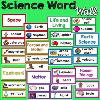 Science Word Wall by Miss Rainbow Education | Teachers Pay Teachers