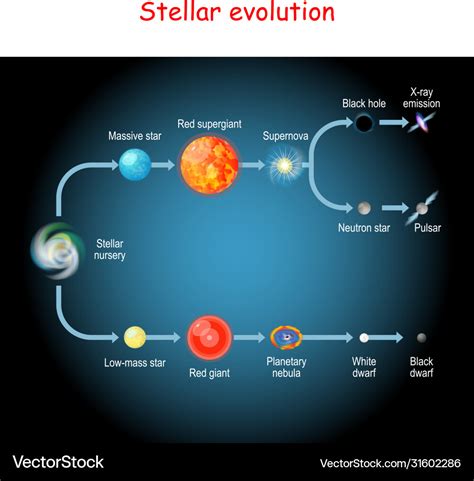 Life Cycle Of A Star Stock Photo Download Image Now Istock | Images and ...