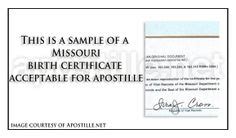 Saint Louis County State of Missouri birth Certificate signed by Craig ...