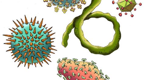 What is the coronavirus? Virus science explained | Caltech Science Exchange