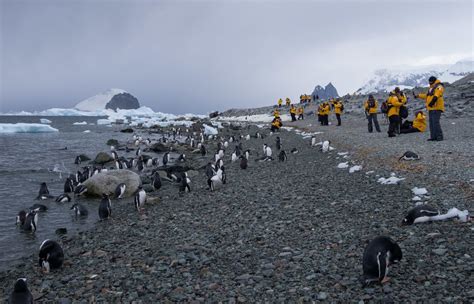 A Typical Day on an Antarctica Expedition Cruise