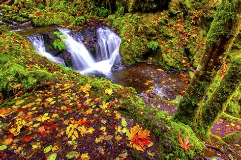 Relax With These 20 Amazing Shots Of Fall Colors In Oregon | That ...