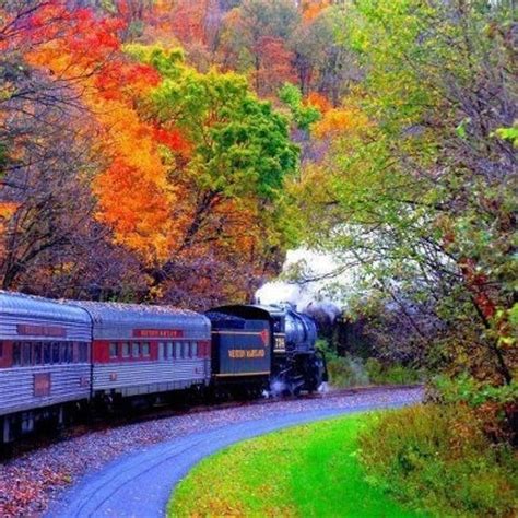 Fall foliage train ride. Vermont | Elysian | Pinterest