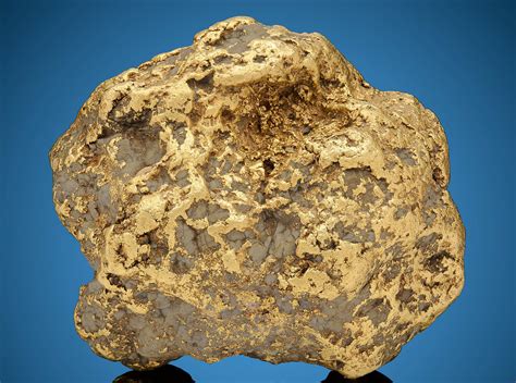 Largest Gold Nugget Ever Found in Alaska – BC Gold Adventures