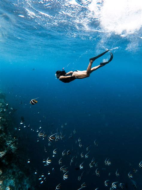 Snorkeling in Maldives