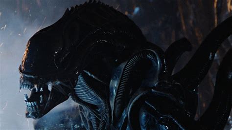 Aliens' Queen Had One Advantage Over The Original Xenomorph