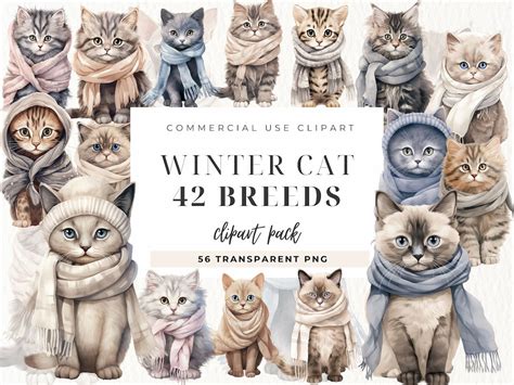 Watercolor Christmas Cat Clipart Bundle, Winter Cat, Scrapbooking Png ...