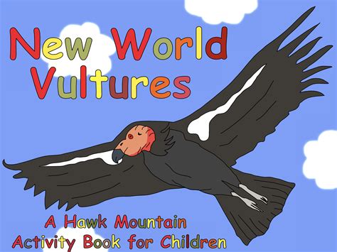 New World Vultures Activity Book – EFTA Digital Resource Library