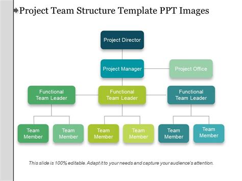 Project Team Structure Template Ppt Images | PowerPoint Presentation ...