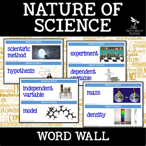 Using Word Walls in Science | Nitty Gritty Science | Science word wall ...