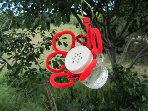 16 DIY Homemade Hummingbird Feeder Ideas to Attract Them to Your Home