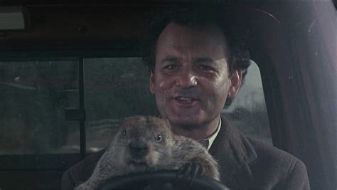 Bill Murray Groundhog Day Quotes. QuotesGram