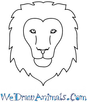 Lion Drawing Face