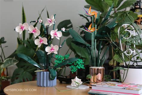 Review: LEGO 10311 Orchid (2022 Botanical Collection) - Jay's Brick Blog