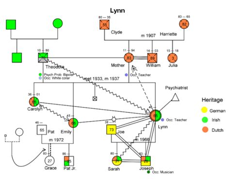 Family Genogram Example | Template Business