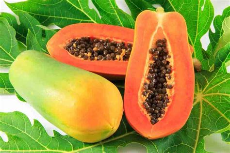 In Season: Papaya | Natural Solutions Magazine