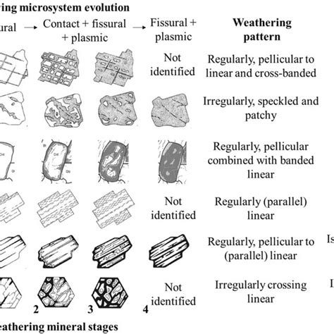 Schematic representation of the textural and micromorphological ...