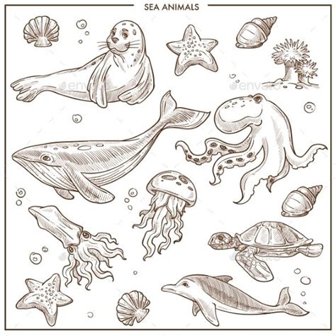 Sea and Ocean Animals or Fish Vector Sketch | Fish sketch, Sea animals ...