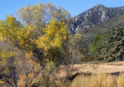 Fall Foliage and Mountain Views in Oak Glen, CA Stock Image - Image of ...