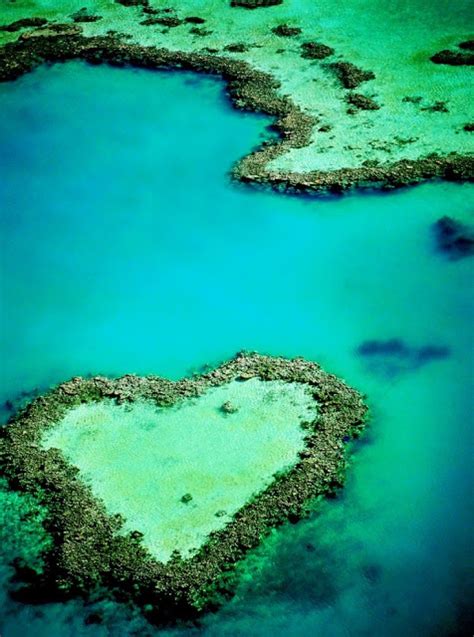 Heart Reef | Tumblr