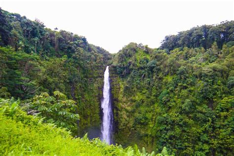 Akaka Falls in Akaka Falls State Park, Big Island, Hawaii, USA Stock ...