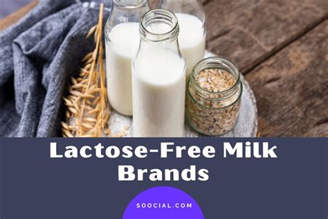 10 Lactose-Free Milk Brands That Taste Delicious - Soocial