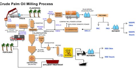 CRUDE PALM OIL PRODUCTION PROCESS - Palm Oil Factory