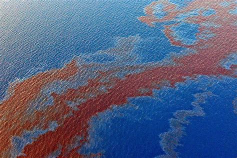 In Photos: Shell's Gulf of Mexico Oil Spill | VICE News