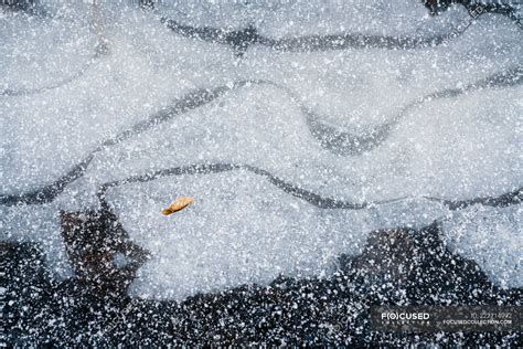 Snow falling on ground — white, from above - Stock Photo | #222714992