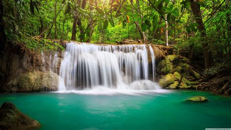 Rainforest Waterfall Wallpapers - Top Free Rainforest Waterfall ...