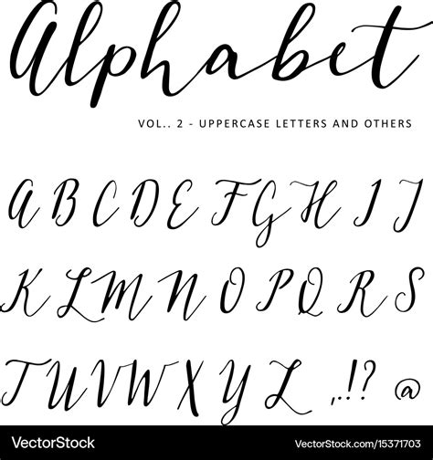 Hand drawn alphabet script font isolated Vector Image