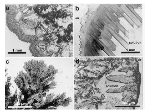 Optical microscopy micrographs of salt crystallization in a saturated ...