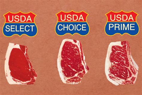 USDA Grading Explained in 2021 | Usda, Usda prime, Prime beef