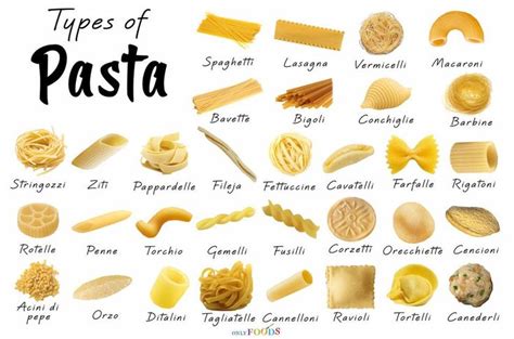 what to call different shapes and styles of pasta | Pasta types, Pasta ...