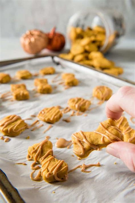 Soft Baked Peanut Butter Pumpkin Homemade Dog Treats • The Crumby Kitchen