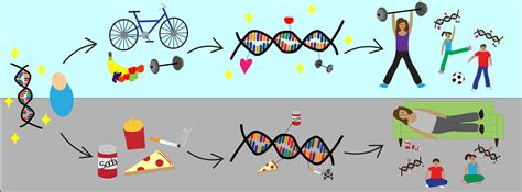 November 1 - What Genes Cannot Tell: The role of epigenetics in ...