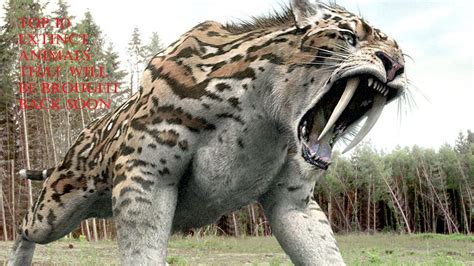 TOP 10 EXTINCT ANIMALS THAT WILL BE BROUGHT BACK