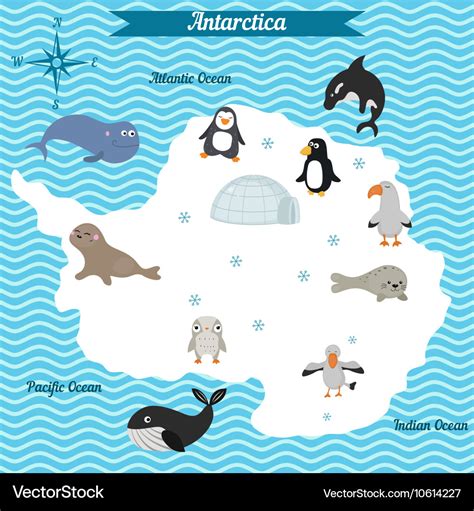 Map of antarctica continent with different animals