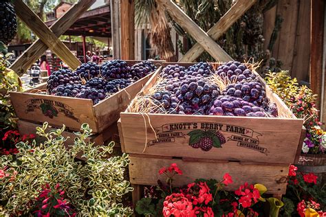 Boysenberry Festival at Knott's Berry Farm - Nibbles and Feasts