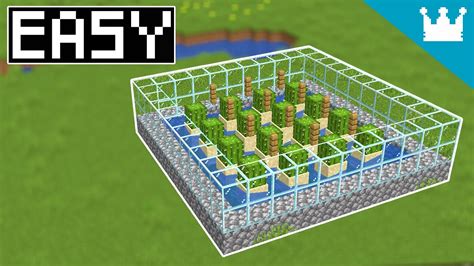 Cactus Farm Design Minecraft