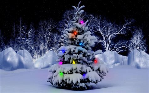 Beautiful Christmas Tree In Snow Wallpapers - Wallpaper Cave