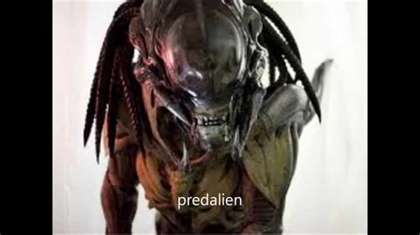 xenomorph types - YouTube