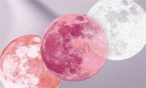 The Pink Moon in Libra wants you to blossom into the rare and beautiful ...