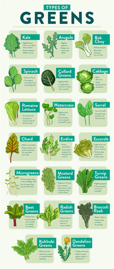 Different Types of Greens | Leaf vegetable, Greens, Nutrition recipes