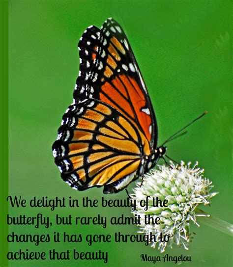 Butterfly Transformation Quotes. QuotesGram