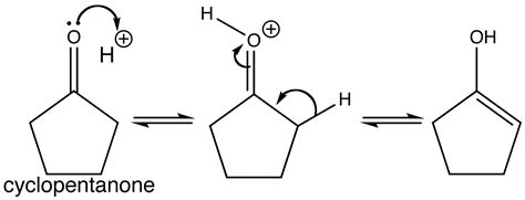 Aldol reaction of cyclopentanone (Step 1)