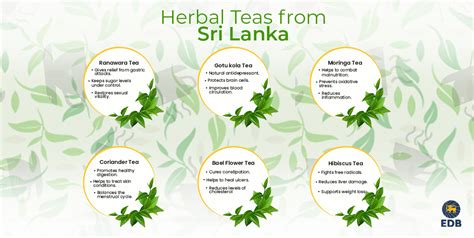 Herbal Tea Varieties from Sri Lanka - EDB Sri Lanka