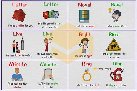 100+ Common Examples of Homographs in English u2022 7ESL | Homographs ...