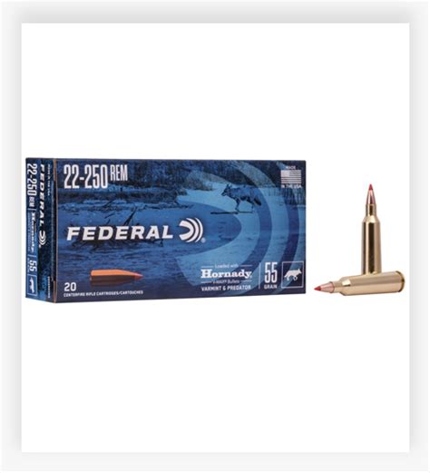 Find Your Perfect Shot with the Best 22-250 Remington Ammo in [y] - Top ...